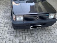 Usata Fiat Panda 4x4 1992 Utilitaria