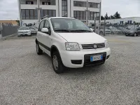 Usata Fiat Panda 4x4 Climbing 75 CV (55 kW) 2012 Bianco Utilitaria