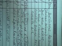 Usata Lancia Musa 2009 Monovolume