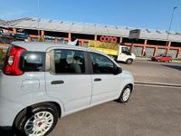Usata Fiat Panda Easy 69 CV (50 kW) 2018 Utilitaria