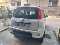 Usata Fiat Panda City Life 69 CV (50 kW) 2021 Bianco Utilitaria