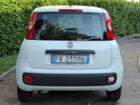 Usata Fiat Panda Easy 69 CV (50 kW) 2017 Bianco Utilitaria