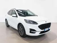 Usata Ford Kuga ST-Line X 154 CV (113 kW) 2023 Bianco SUV