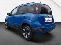 usata Fiat Panda Cross 1.0 FireFly S&S Hybrid City usato