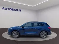 Usata Ford Kuga ST-Line X 225 CV (165 kW) 2023 Blu SUV