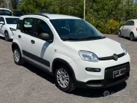 Usata Fiat Panda 70 CV (51 kW) 2024 Bianco Utilitaria