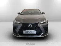 Usata Lexus NX450h+ Sport Line 309 CV (227 kW) 2024 Grigio SUV