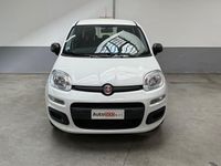 Usata Fiat Panda Easy 69 CV (50 kW) 2020 Bianco Berlina