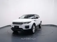Usata Land Rover Range Rover evoque Pure 150 CV (110 kW) 2017 Fujii white / tetto nero SUV