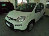 usata Fiat Panda 1.0 FireFly S&S Hybrid Easy nuovo