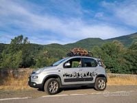 Usata Fiat Panda 4x4 2014 Grigio Utilitaria