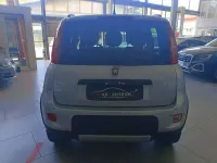 Usata Fiat Panda 4x4 86 CV (63 kW) 2013 Argento Utilitaria