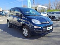 usata Fiat Panda 1.2 69CV E6 EASY