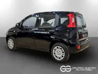 Nuova Fiat Panda Pop 65 CV (47 kW) 2026 Nero cinema pastello Utilitaria