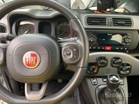 Usata Fiat Panda 4x4 S 85 CV (62 kW) 2017 Grigio Utilitaria