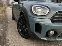 Usata Mini Countryman Essential 150 CV (110 kW) 2021 Verde SUV