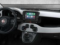 Usata Fiat Panda S 70 CV (51 kW) 2024 Bianco Utilitaria