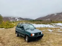 Usata Fiat Panda 4x4 Climbing 54 CV (39 kW) 2002 Utilitaria