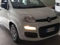 Usata Fiat Panda Easy 69 CV (50 kW) 2018 Other Utilitaria