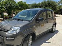 Usata Fiat Panda City Life 70 CV (51 kW) 2023 Grigio Utilitaria