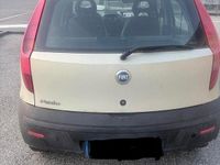 Usata Fiat Punto 2003 Verde Utilitaria