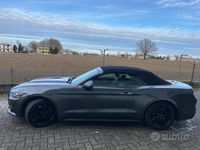 Occasion Ford Mustang 290 PK (213 kW) 2018 Cabriolet
