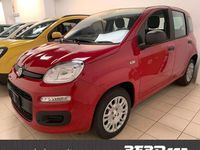 Nuova Fiat Panda Pop 65 CV (47 kW) 2026 Bianco Utilitaria