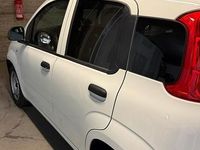 Usata Fiat Panda Pop 70 CV (51 kW) 2022 Bianco Utilitaria