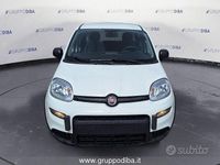 Usata Fiat Panda 70 CV (51 kW) 2024 Bianco Utilitaria