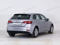 usata Audi A3 1.6 TDI SPB 1.6 TDI 116 CV