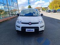Usata Fiat Panda S 69 CV (50 kW) 2023 Bianco Utilitaria