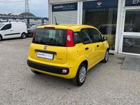 Nuova Fiat Panda Icon 70 CV (51 kW) 2025 Giallo Berlina