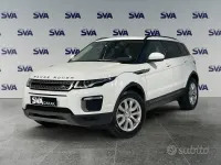 Usata Land Rover Range Rover evoque SE 150 CV (110 kW) 2016 Bianco SUV
