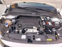 Usata Opel Corsa Ultimate 101 CV (74 kW) 2024 Bianco Utilitaria