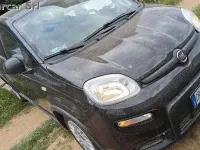 Usata Fiat Panda 69 CV (50 kW) 2023 Argento Utilitaria