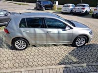 usata VW Golf VII 1.6 TDI 115CV DSG 5p. Business BlueMotion Technology