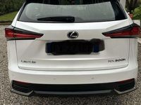 Usata Lexus NX300h 155 CV (114 kW) 2019 SUV