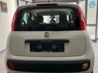 Usata Fiat Panda Easy 69 CV (50 kW) 2017 Bianco Utilitaria