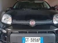 Usata Fiat Panda S 69 CV (50 kW) 2024 Utilitaria