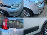 Usata Fiat Panda 4x4 75 CV (55 kW) 2014 Grigio Utilitaria