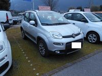Usata Fiat Panda 4x4 74 CV (54 kW) 2017 Grigio Utilitaria