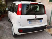 Usata Fiat Panda 102 CV (75 kW) 2013 Utilitaria