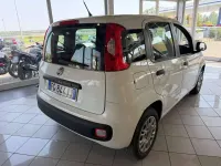 Usata Fiat Panda 80 CV (58 kW) 2016 Bianco Utilitaria