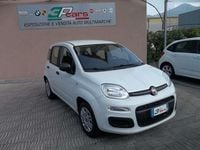 Usata Fiat Panda S 69 CV (50 kW) 2021 Pastello Utilitaria