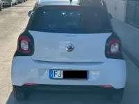 Usata Smart ForFour Prime 71 CV (52 kW) 2017 Bianco Utilitaria