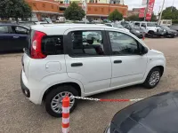 Usata Fiat Panda Easy 69 CV (50 kW) 2019 Bianco Berlina