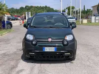 Usata Fiat Panda S 69 CV (50 kW) 2025 Verde Utilitaria