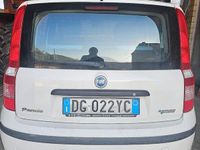 Usata Fiat Panda 77 CV (56 kW) 2007 Bianco Utilitaria