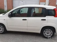 Usata Fiat Panda Easy 69 CV (50 kW) 2016 Bianco Utilitaria