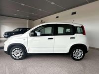 Usata Fiat Panda S 70 CV (51 kW) 2024 Bianco Utilitaria